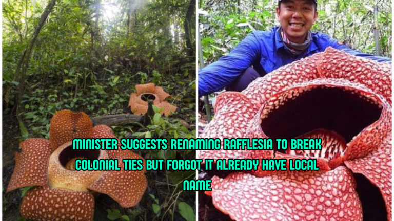 Minister Suggests Renaming Rafflesia, But It Already Has Local Names