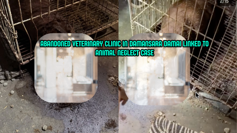 Damansara Damai Animal Tragedy Exposes Systemic Failure, Civil Society Demands Justice