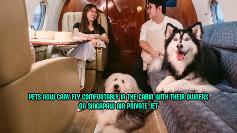 Asia’s First Pet Friendly SingaPaw Airline Lets Pets Fly Beside You, Not In Cargo