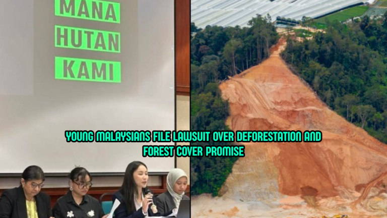 6 Young Malaysians Sue Govt Over Forest Promise