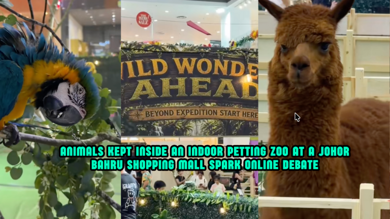 Indoor Petting Zoo At Johor Bahru Mall Sparks Fresh Debate Over Animal Welfare