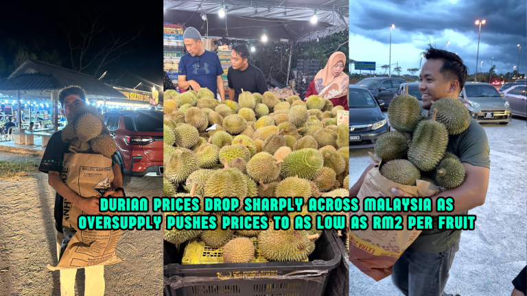 Durian Prices Drop Sharply Across Malaysia As Oversupply Pushes Prices To As Low As RM2 Per Fruit