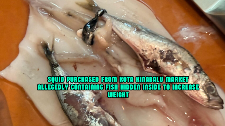 Customer Claims Squid Sold At Kota Kinabalu Market Had Fish Hidden Inside To Increase Weight