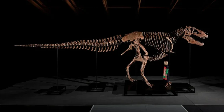 67-Million-Year-Old T. rex Fossil Sells For Over RM220 Million, Sets New World Record