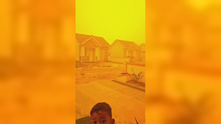 Severe Haze Hits Palangka Raya – Open Burning Continues Uncontrolled in Central Kalimantan