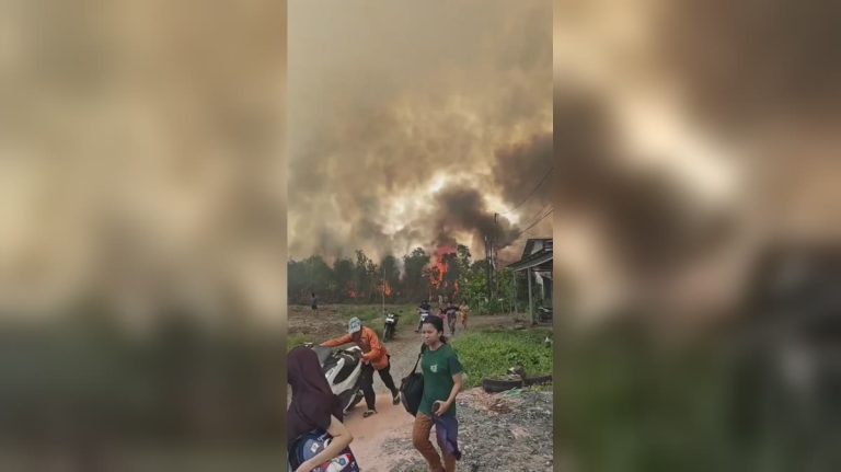 Thick smoke, raging flames and communities at risk. Severe forest fires in Indonesia are once again raising concerns about the environmental impact and possible haze across the region.