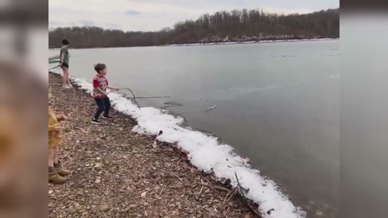 ‘Best Day Ever’ – Ice forming along the lake, creating cracking sounds